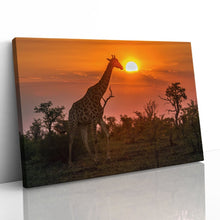 Load image into Gallery viewer, Giraffe in Kruger Park