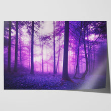 Load image into Gallery viewer, Mystic Fantasy Enchanted Forest