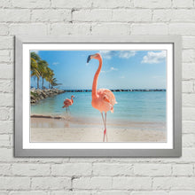 Load image into Gallery viewer, Pink Flamingo in Aruba