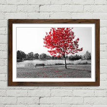Load image into Gallery viewer, Red Tree Park Bench Lake Nature