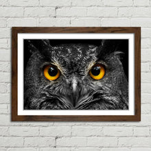 Load image into Gallery viewer, Cute Owl Staring