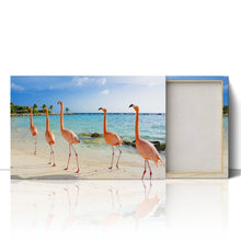 Load image into Gallery viewer, Flamingoes on Aruba Beach