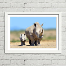 Load image into Gallery viewer, White Rhinoceros Baby