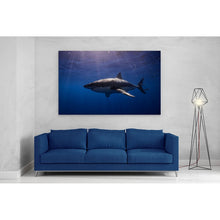 Load image into Gallery viewer, Cage Diving Great White Shark