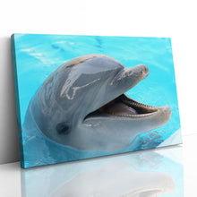 Load image into Gallery viewer, Dolphin Smiling Happy