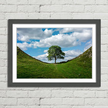 Load image into Gallery viewer, Sycamore Gap at Hadrian's Wall
