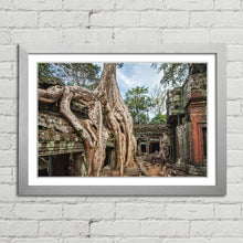 Load image into Gallery viewer, Ta Prohm Temple Tree Angkor