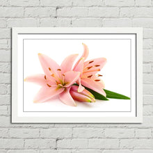 Load image into Gallery viewer, Pink Lillies Flowers