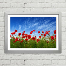 Load image into Gallery viewer, Red Poppies in Field