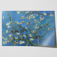 Load image into Gallery viewer, Van Gogh Almond Blossoms Painting