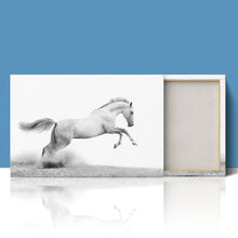 Load image into Gallery viewer, Stallion Horse Equestrian