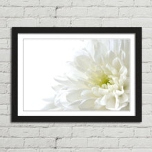 Load image into Gallery viewer, White Flower