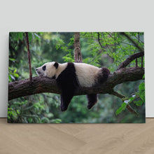 Load image into Gallery viewer, Sleeping Panda China