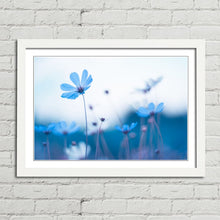 Load image into Gallery viewer, Delicate Blue Flowers
