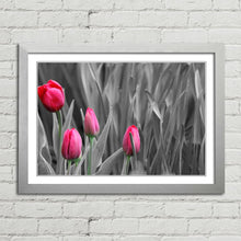 Load image into Gallery viewer, Pink Tulips in Black and White
