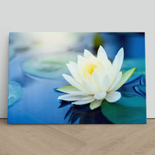 Load image into Gallery viewer, White Lotus Flower in Pond