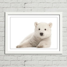 Load image into Gallery viewer, Polar Bear Cub Baby