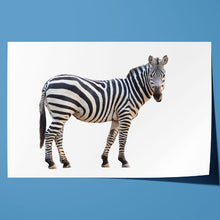 Load image into Gallery viewer, Zebra Staring Close Up