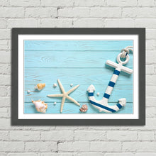 Load image into Gallery viewer, Marine Anchor Starfish Shells