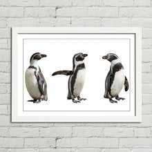 Load image into Gallery viewer, Cute Humboldt Penguin Family