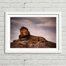 Load image into Gallery viewer, Lion King on Pride Rock