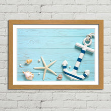 Load image into Gallery viewer, Marine Anchor Starfish Shells