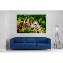 Load image into Gallery viewer, Giraffes Close Up