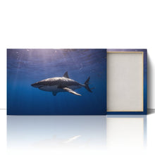 Load image into Gallery viewer, Cage Diving Great White Shark