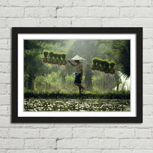 Load image into Gallery viewer, Rice Paddy Farmer Laos