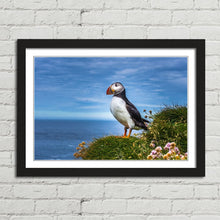 Load image into Gallery viewer, Puffin on Latrabjarg Cliffs