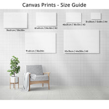 Load image into Gallery viewer, New Zealand Silver Fern Flag Paint