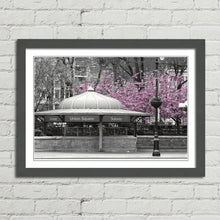 Load image into Gallery viewer, Pink Blossom Tree New York Subway