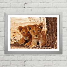 Load image into Gallery viewer, Cute Lion Cubs