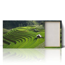 Load image into Gallery viewer, Rice Field Terrace Vietnam