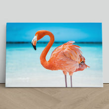 Load image into Gallery viewer, Pretty Pink Aruba Flamingo