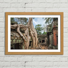 Load image into Gallery viewer, Ta Prohm Temple Tree Angkor