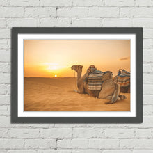 Load image into Gallery viewer, Camel in Sahara Desert at Sunset