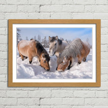 Load image into Gallery viewer, Horses in the Snow