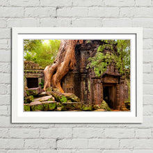 Load image into Gallery viewer, Ta Prohm Temple Cambodia