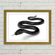 Load image into Gallery viewer, Black Snake with Forked Tongue
