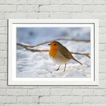 Load image into Gallery viewer, Robin Red Breast Winter Christmas Snow