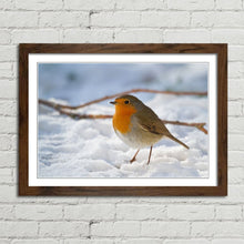 Load image into Gallery viewer, Robin Red Breast Winter Christmas Snow