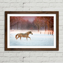 Load image into Gallery viewer, Horse Running in Snow