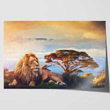 Load image into Gallery viewer, Lion near Mount Kilimanjaro