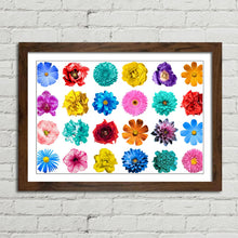 Load image into Gallery viewer, Flowers of various Colours
