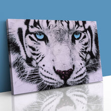 Load image into Gallery viewer, Blue Eyed White Tiger