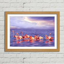 Load image into Gallery viewer, Beautiful Pink Flamingo Flock