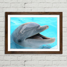 Load image into Gallery viewer, Dolphin Smiling Happy