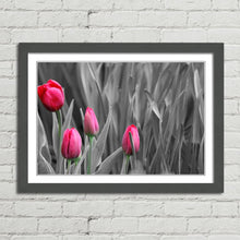 Load image into Gallery viewer, Pink Tulips in Black and White