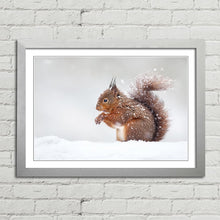 Load image into Gallery viewer, Red Squirrel in Snow England Winter